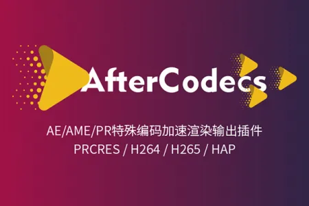 AE插件-After Codecs