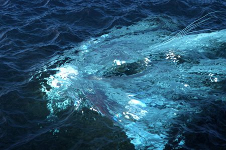 【AI技巧】—制作纸上迷宫效果